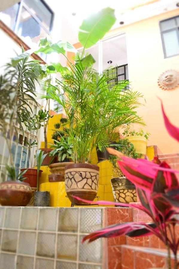 Guest house Kahlo Habitacion#1 *